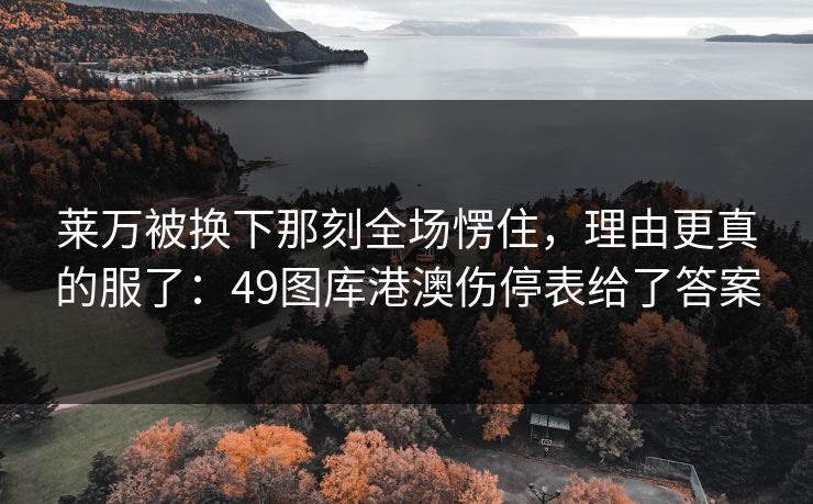莱万被换下那刻全场愣住，理由更真的服了：49图库港澳伤停表给了答案