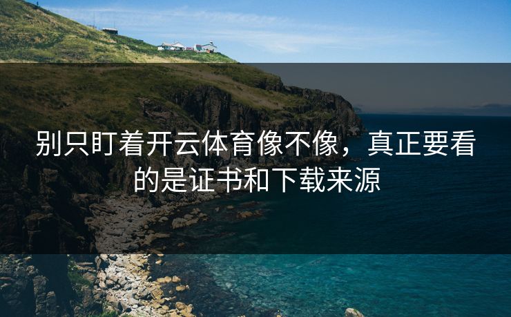 别只盯着开云体育像不像，真正要看的是证书和下载来源