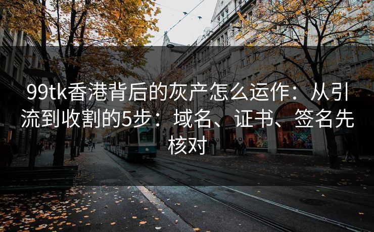 99tk香港背后的灰产怎么运作：从引流到收割的5步：域名、证书、签名先核对